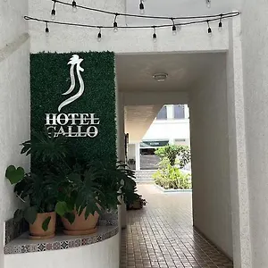 Gallo Hotel Guadalajara