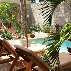 https://nuik-casa-tropical.hotelsmerida.org