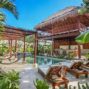 Zenses Wellness And Yoga - Adults Only Hotel Tulum